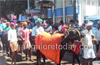 Kambala lovers, buffaloes march on  city roads against Kambala ban